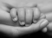 Le jugement d’adoption Slider jugement adoption