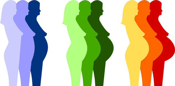 Calendrier grossesse : les différents trimestres