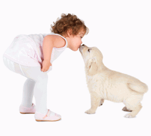 Animaux domestiques et l'enfant