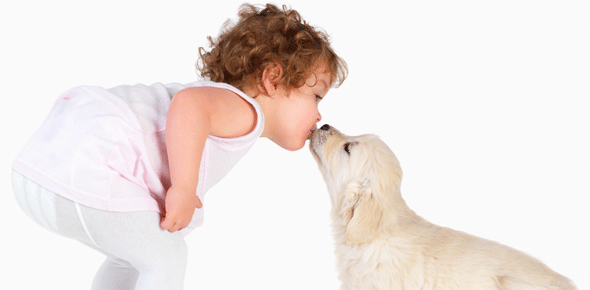 La relation entre les animaux domestiques et l’enfant