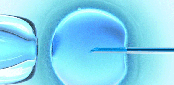 La fécondation in vitro (FIV)